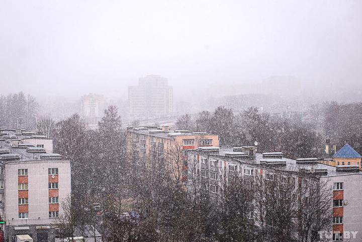 Погода в слуцке на 10 дней подробно