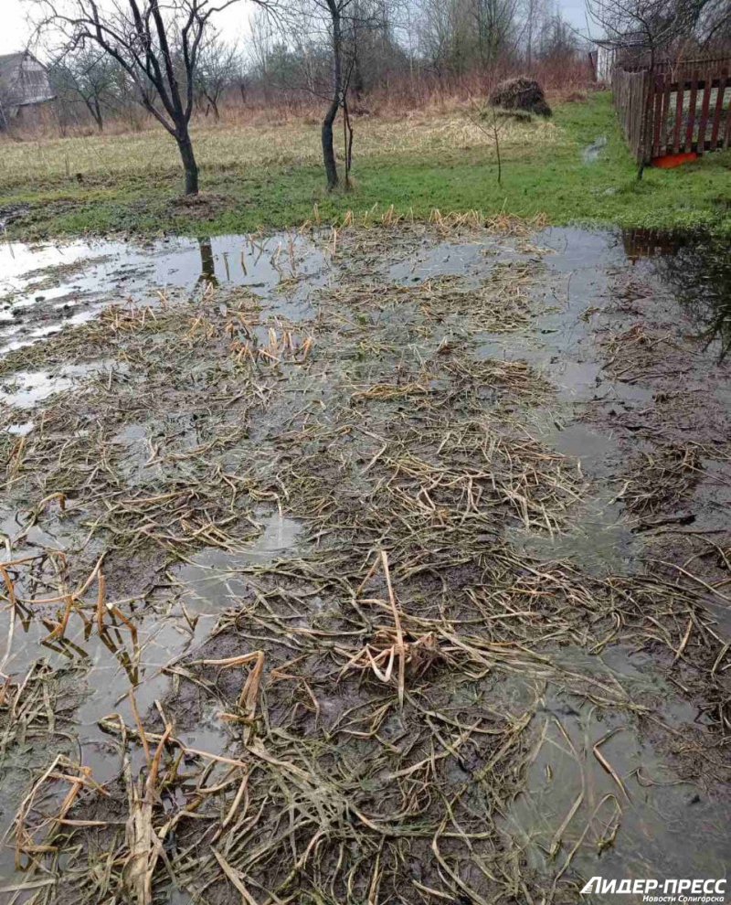 photo_2021-04-19_13-54-08-fill-800x990