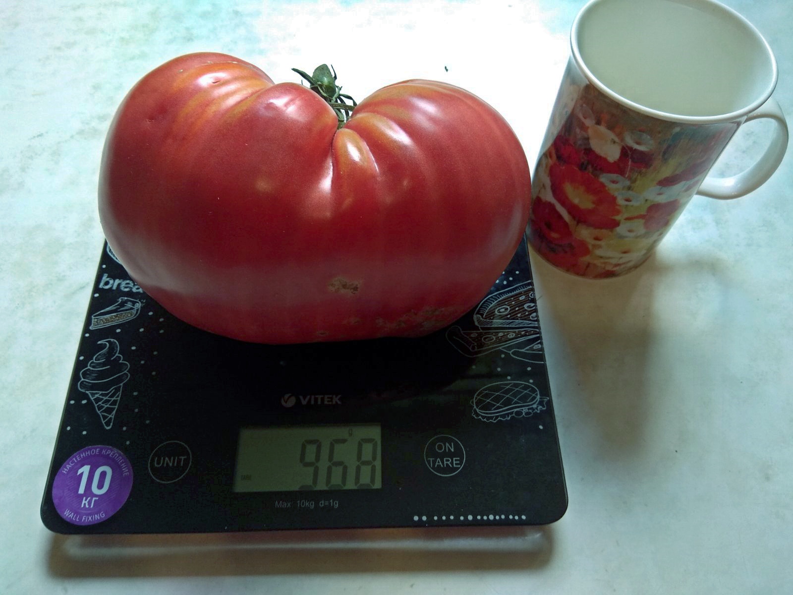 изображение_viber_2021-08-03_12-05-42-128