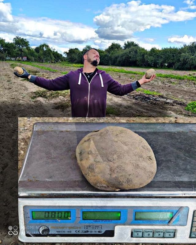 photo_2021-09-07_14-40-24