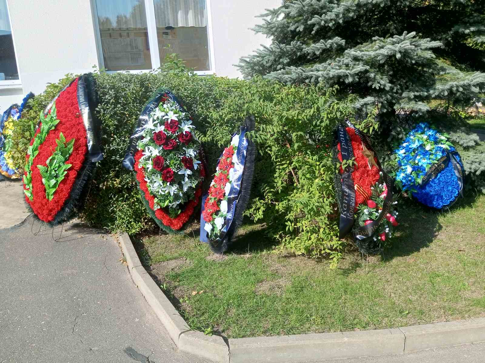 изображение_viber_2023-10-02_08-03-50-568